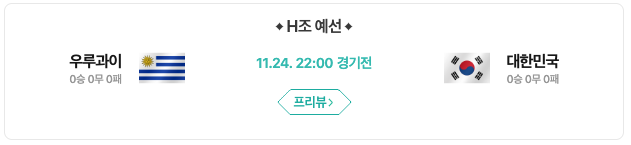 카타르 월드컵 응원을 위한 대한민국 머플러(나이키머플러)